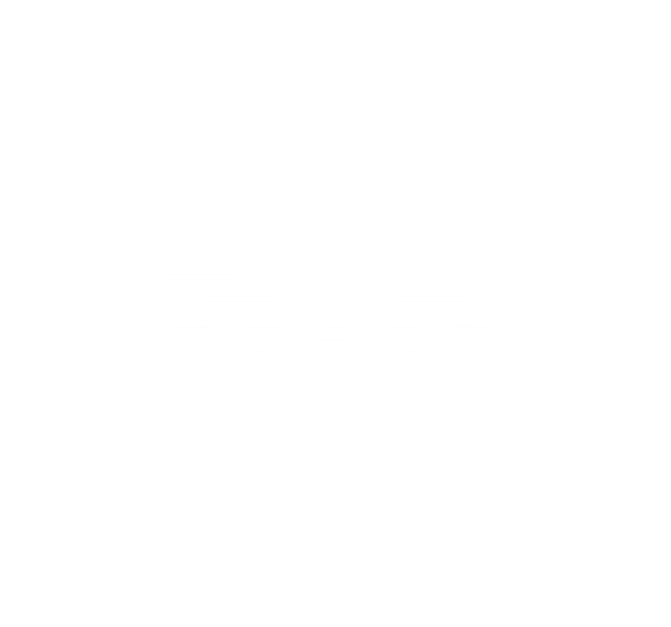 SA Logo Transparent Background White.png