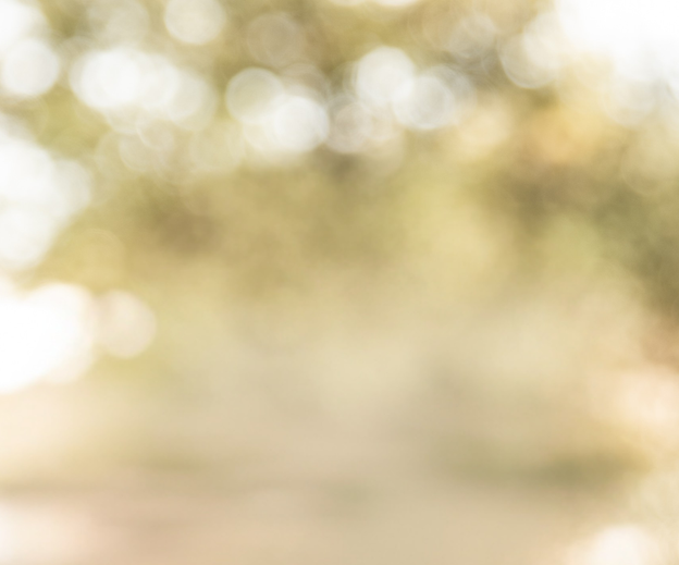 Background image of sunny day out of focus
